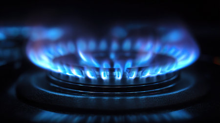 Closeup of a gas stove burner with blue flames