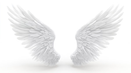 White angel wings isolated on white background. 3D illustration, clipping path includedの写真素材