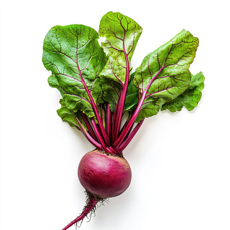 Beetroot with leaves isolated on white background. Top view.