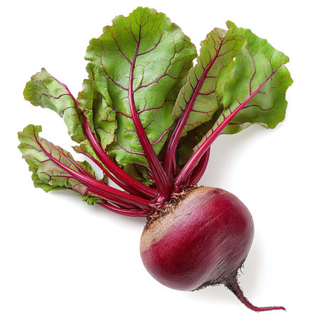 Beetroot with leaves isolated on white background, clipping path included