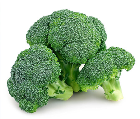 Broccoli vegetable isolated on white background cutout. Healthy food.の写真素材