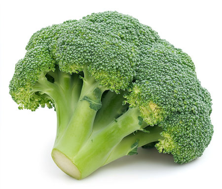 Broccoli vegetable isolated on white background cutout. Healthy food.の写真素材