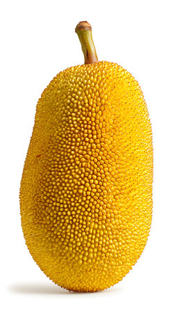 A solitary, ripe yellow jackfruit is presented in isolation on a pure white background. The fruit is...