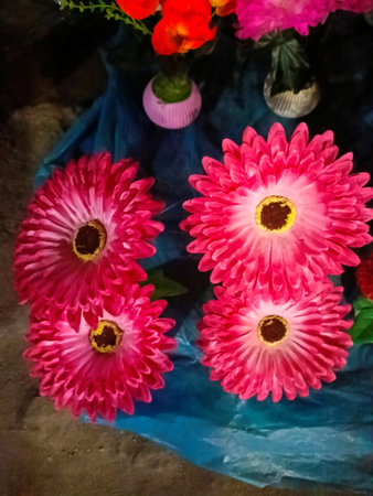 Colorful daisy flowers in vase for sale at street marketの写真素材