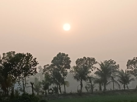 Sunrise over the rice fields in the countryside of Kolkata.の写真素材