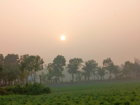Sunrise in the morning with fog in the countryside of Thailand.の写真素材