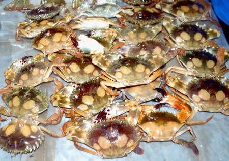 Traditional Fresh seafood Fish photographed in fish marketの写真素材