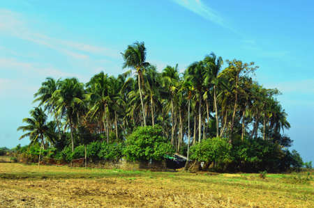 Beautiful Natural Green Village viewの写真素材