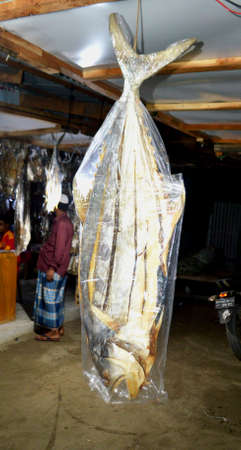Traditional Fresh seafood Dry Fish photographed in fish marketのeditorial素材