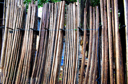 Cutting wooden poles. texture of an old tree.Wooden Backgroundの写真素材