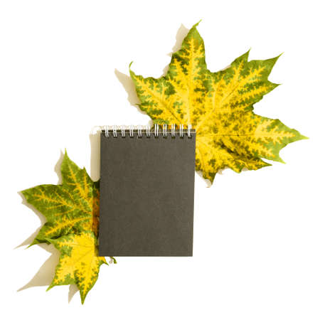 black Notepad with yellow-green leaves on a white background.の写真素材