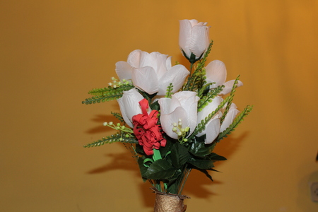 Beautiful flower for indoor decorationの写真素材