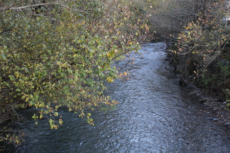 River inside the forest areaの写真素材