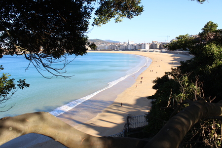 Long beach view from inside the tree viewの写真素材