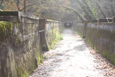 Long tunnel view inside the forest and mountainsの写真素材