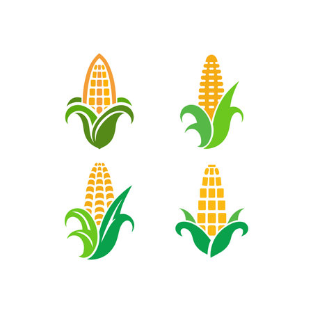 Golden Harvest Corn Vector Design Setのイラスト素材