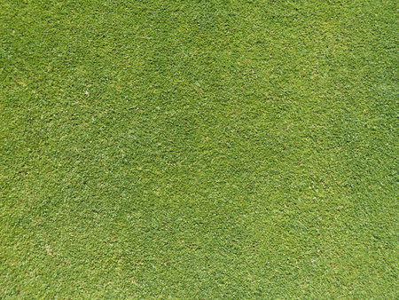 Grass pattern