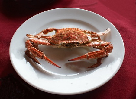 Boiled red crab on the white plate.の写真素材