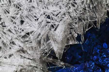 Unusual beautiful crystals of ice on the water's edge.