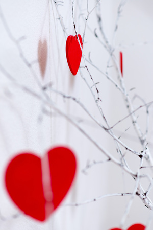red hearts hanging on the tree on a white backgroundの写真素材