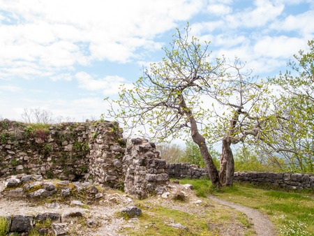 figs near the ancient fortress on the mountainの写真素材