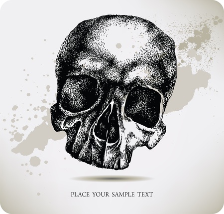 Skull hand drawing. Vector illustration. のイラスト素材