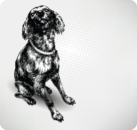 Sweet dog hand drawing vector.のイラスト素材