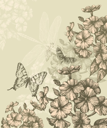 Floral background with blooming phlox and flying butterflies, hand-drawing. Vector.のイラスト素材