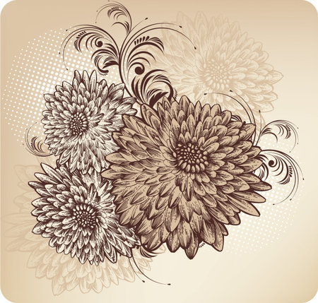 Floral background with blooming chrysanthemumsのイラスト素材