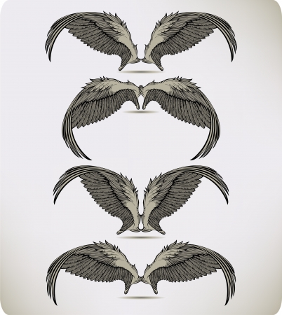 Wings of the Griffon, setのイラスト素材