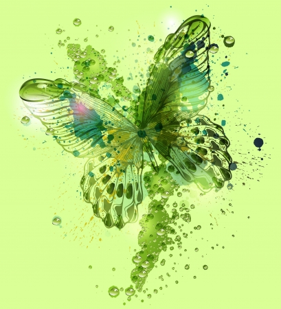 Butterfly with water droplets. Vector illustration.のイラスト素材