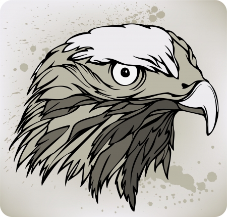 Buzzard hawk, hand drawing. Vector illustration.のイラスト素材