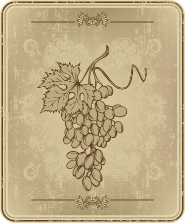 Menu with grapes, hand-drawing.  illustration.のイラスト素材