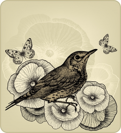 Background with poppy flowers and bird fieldfare, hand-drawing. Vector illustration.のイラスト素材