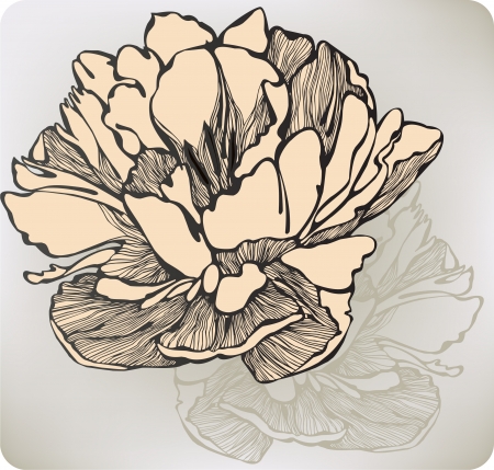 Tulip flower decorative, hand-drawing. Vector illustration.のイラスト素材
