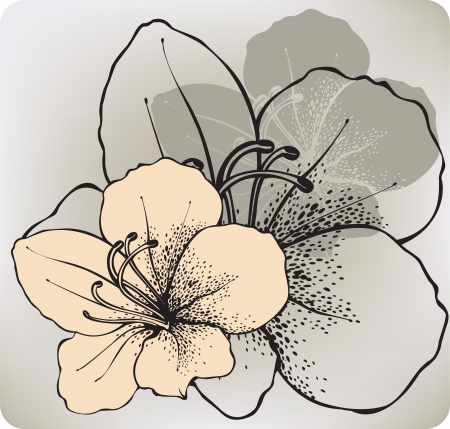 Hibiscus flower, hand-drawing. Vector illustration.のイラスト素材