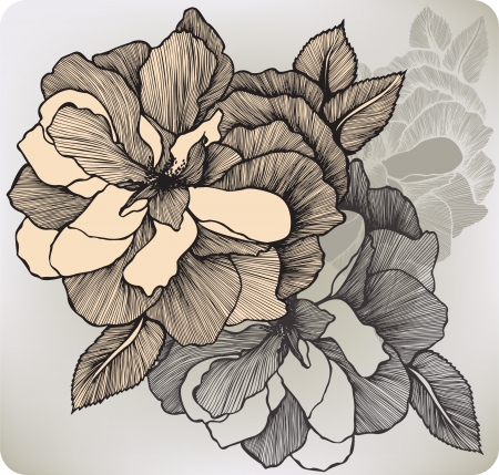 Blooming decorative rose, hand-drawing. Vector illustration.のイラスト素材
