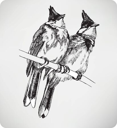 Two birds on the branch, hand drawing, vector illustrationのイラスト素材