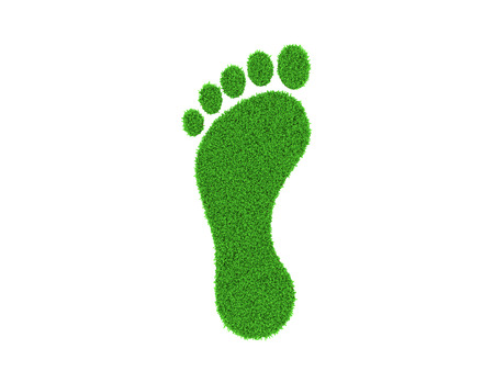Grass Footprintの写真素材