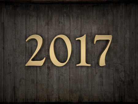 New Year 2017