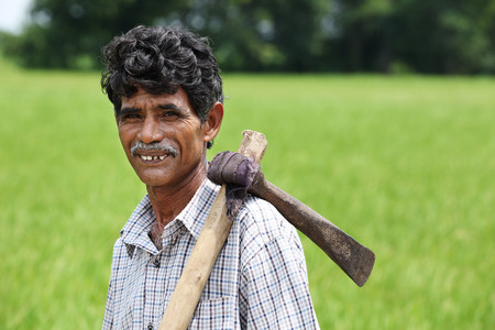 Indian Senior Man Holding Grub Hoeの写真素材