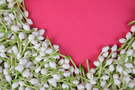 Jasmine flower with Heart symbolの写真素材