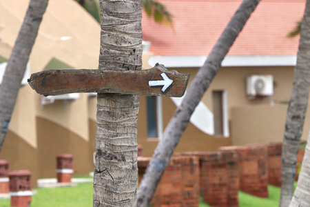 wooden signboard in the park area
