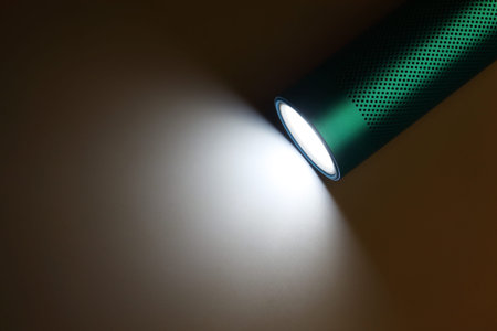 Indian Made LED Torch Light