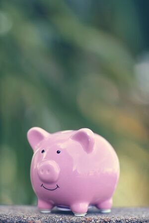 Piggy Bank - concept of money savingsの写真素材