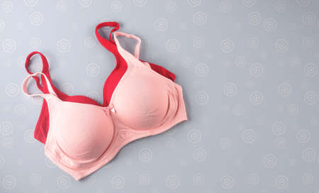 Woman's Bra Isolated on Gray Backgroundの写真素材