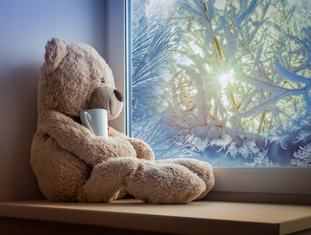 bear sitting and looking in the window with a cupの写真素材