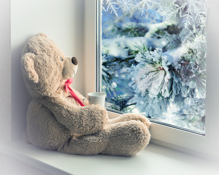 bear sitting and looking in the window with a cupの写真素材