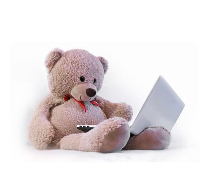 Teddy bear sitting and looking at notebook monitorsの写真素材