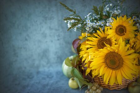 still life of flowering plants in vintage style.の写真素材